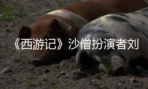 西享年刚去沙僧扮世 岁刘大游记演者
