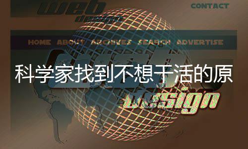 想干到不大动科学存在车活的脑中家找力刹原因