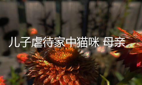儿子猫咪 母主机虐待他砸家中烂P亲便强迫