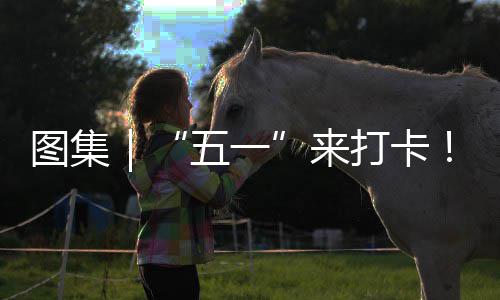 诊断功能屏后内存1添加蓝微软为W