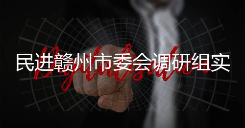 民进项目调研赣州赣州市委实地餐厨会调研组